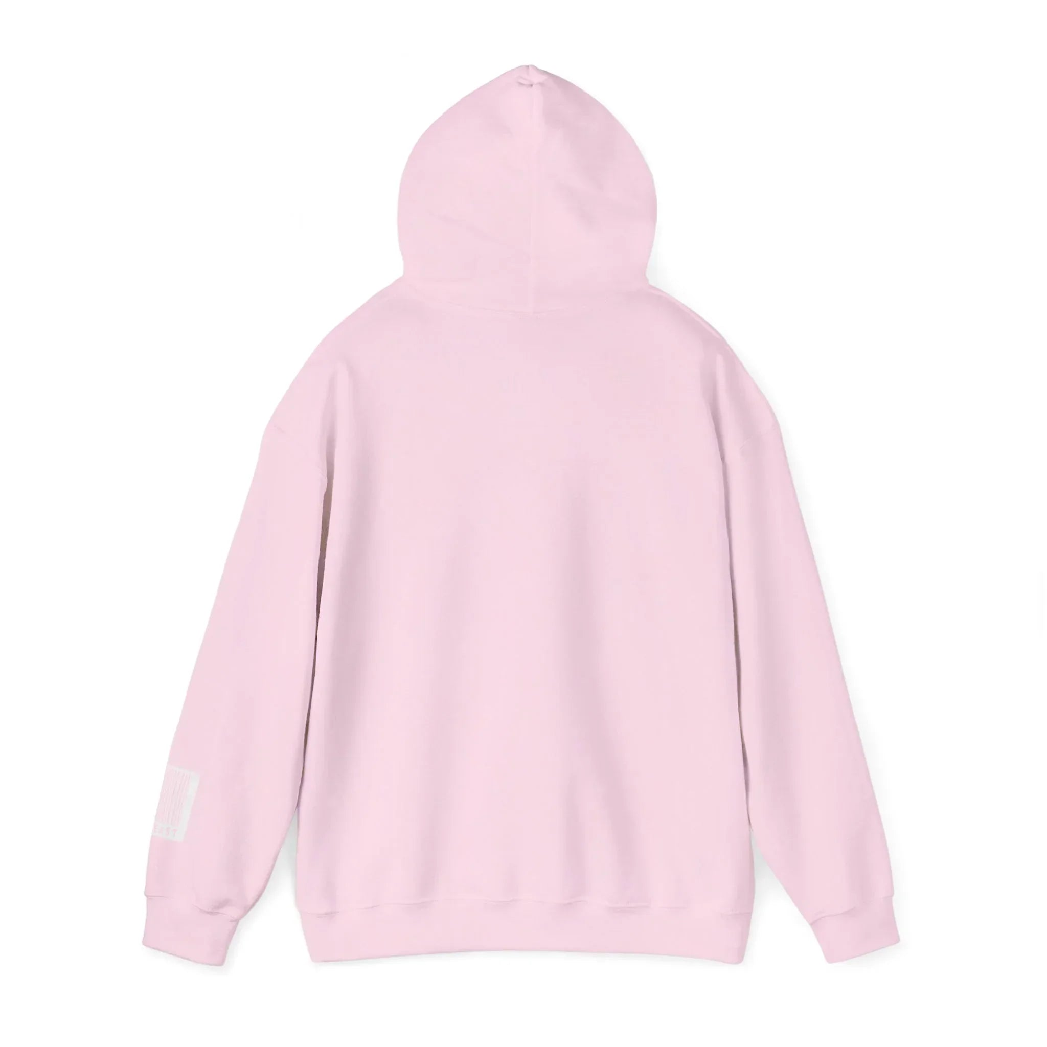 Back view of a light pink hooded sweatshirt on white background