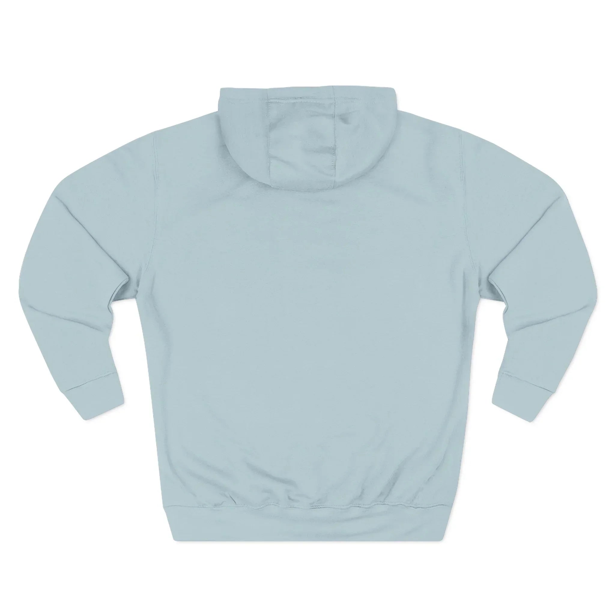 Light blue hoodie sweatshirt shown from the back on a white background