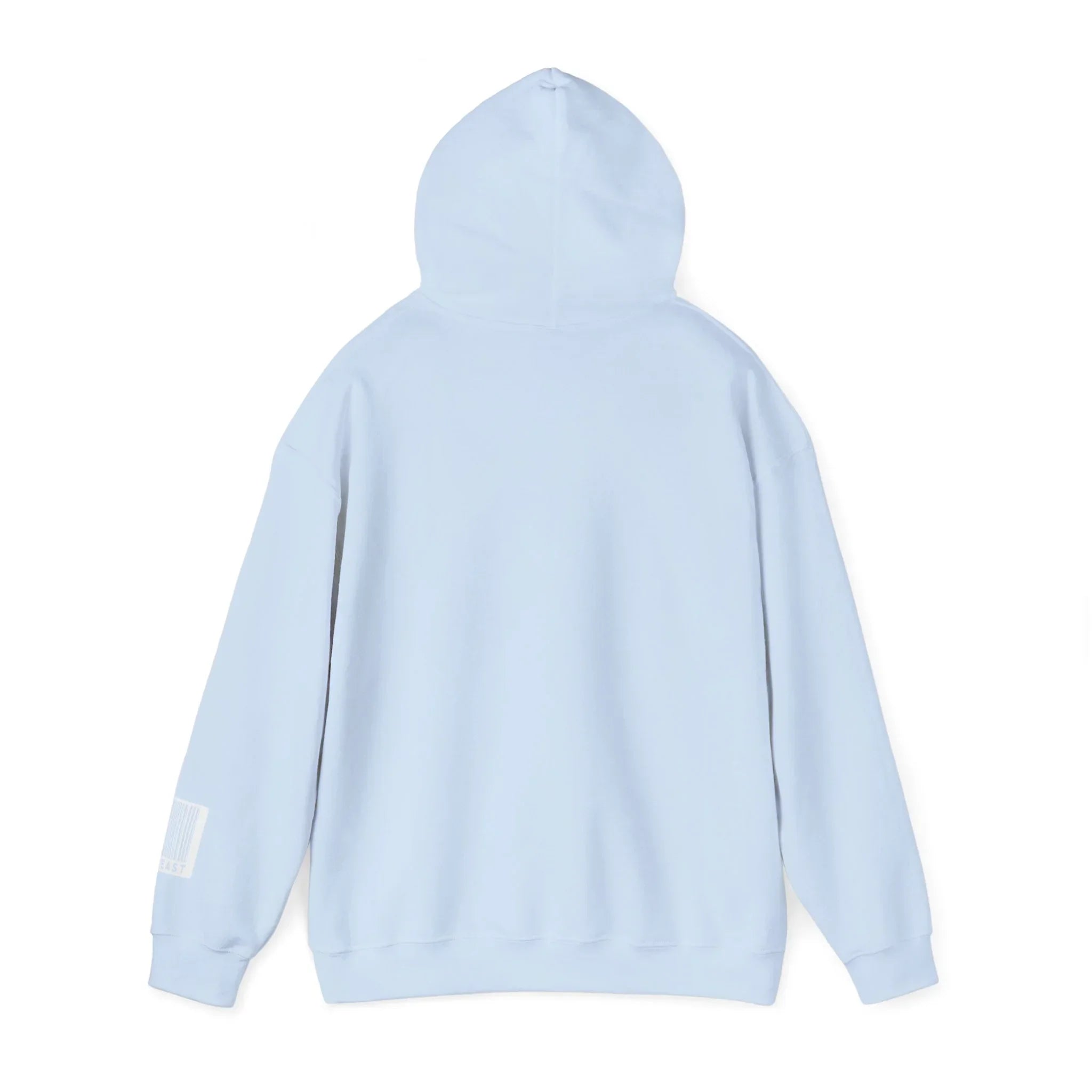 Light blue hoodie with long sleeves and barcode detail on left cuff, back view on white background